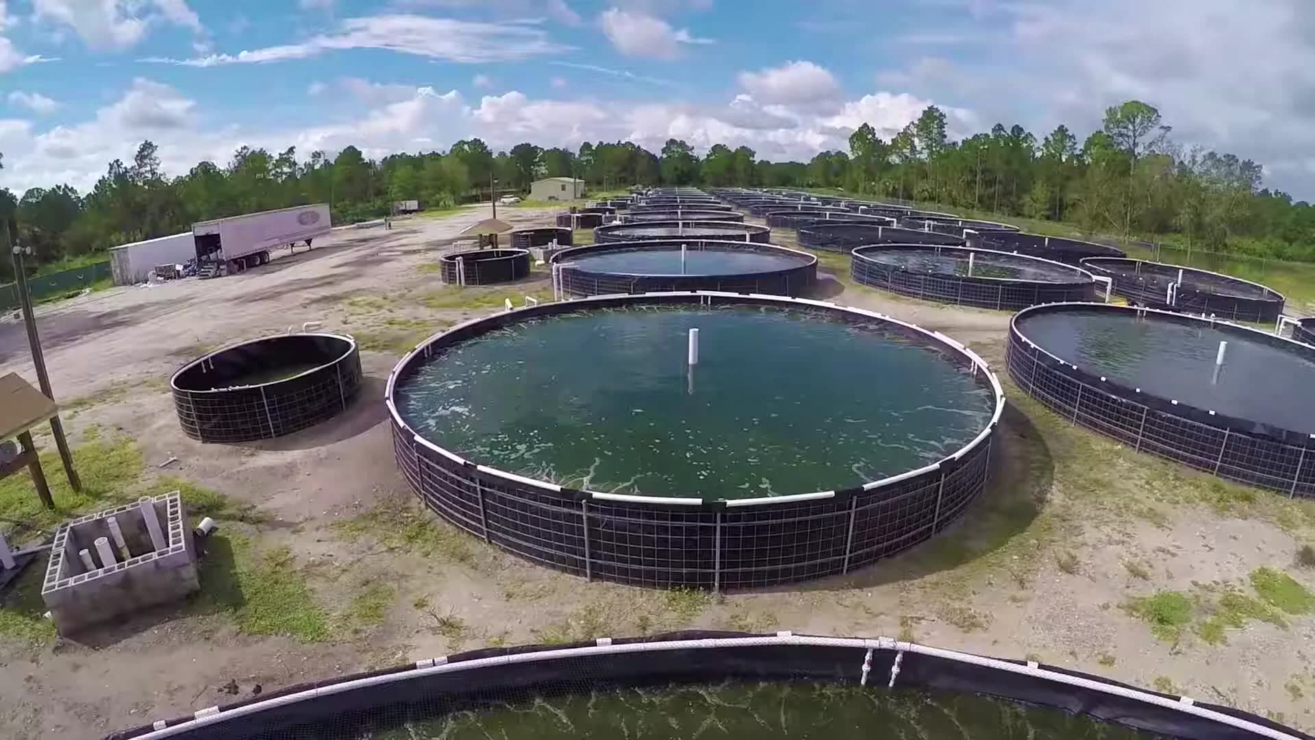 Clewiston Main Farm exterior