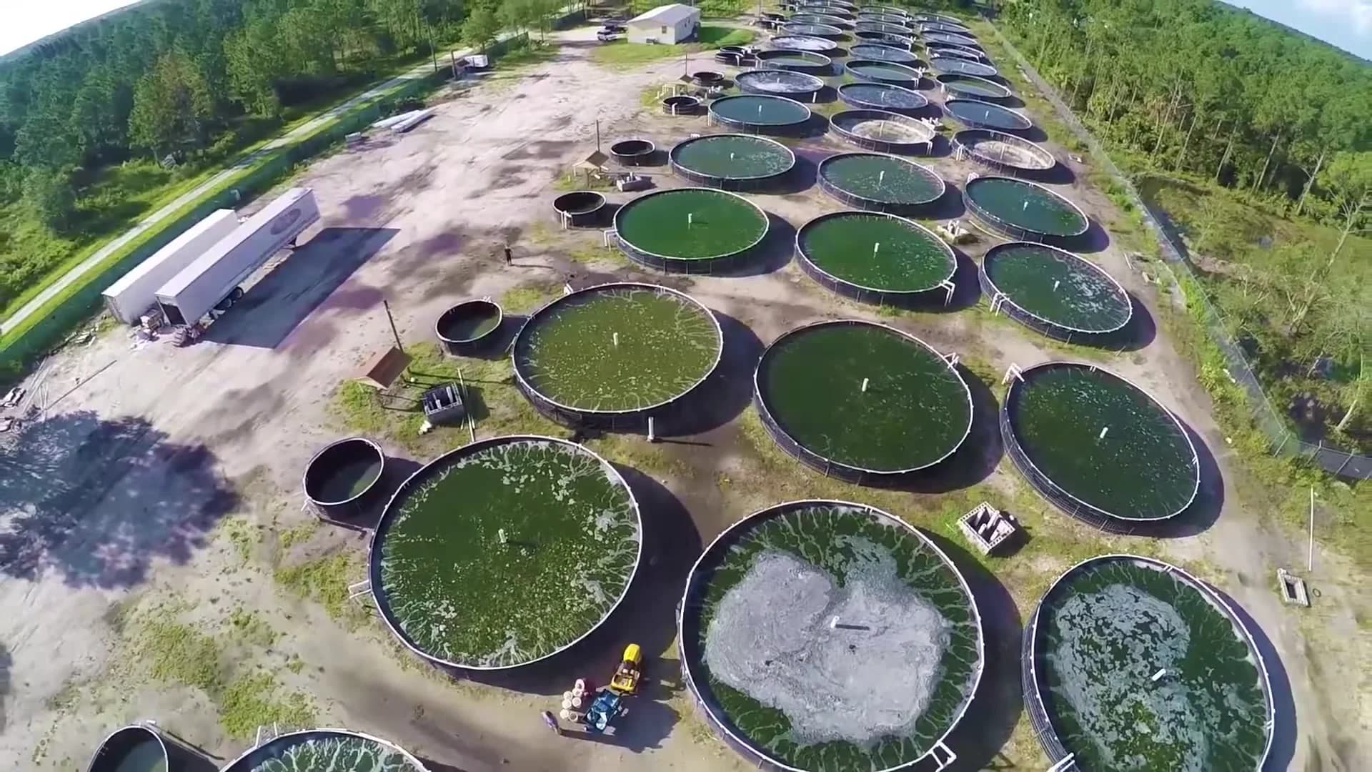 Homestead Farm exterior