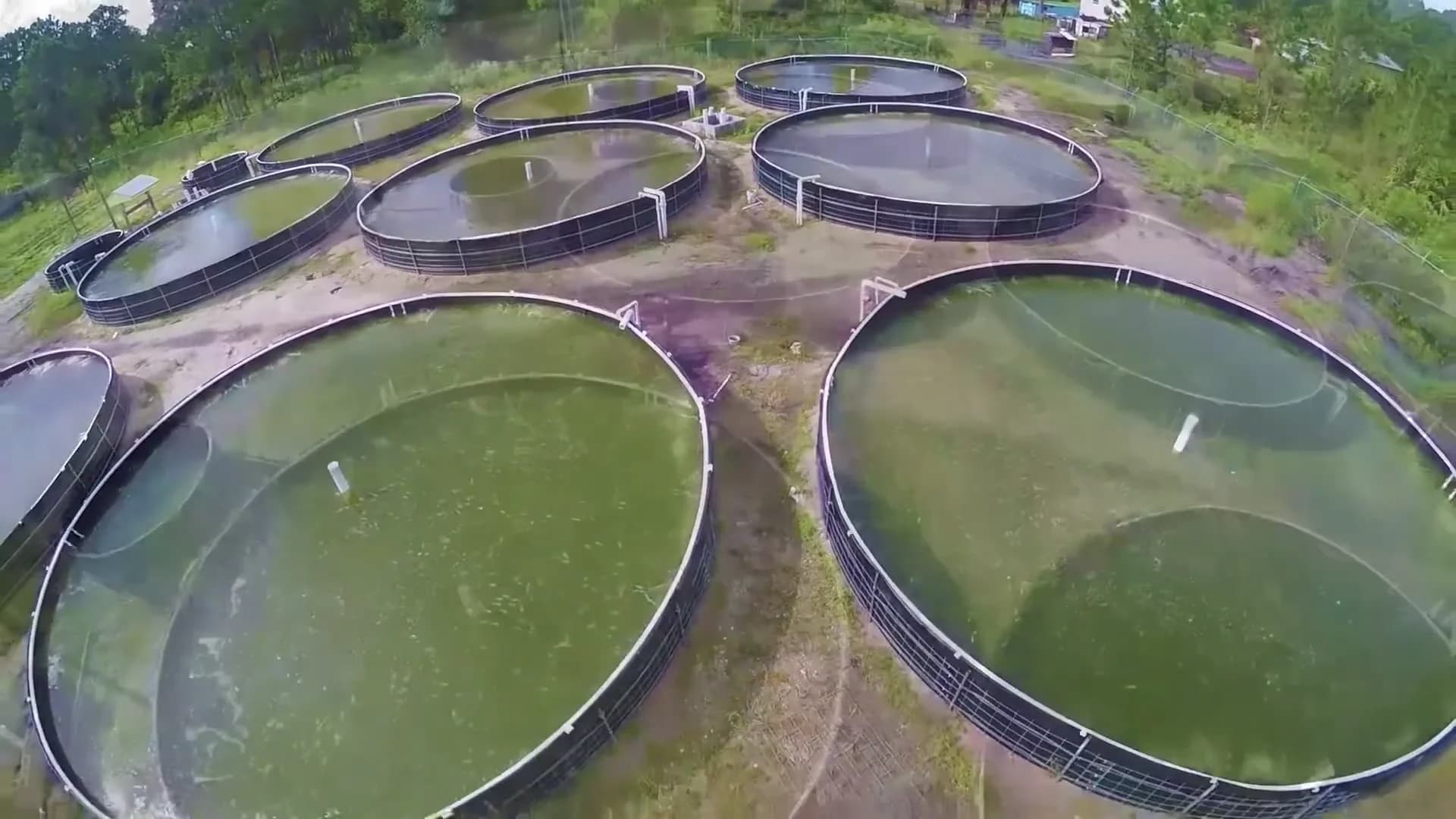 Tech Farm team at work