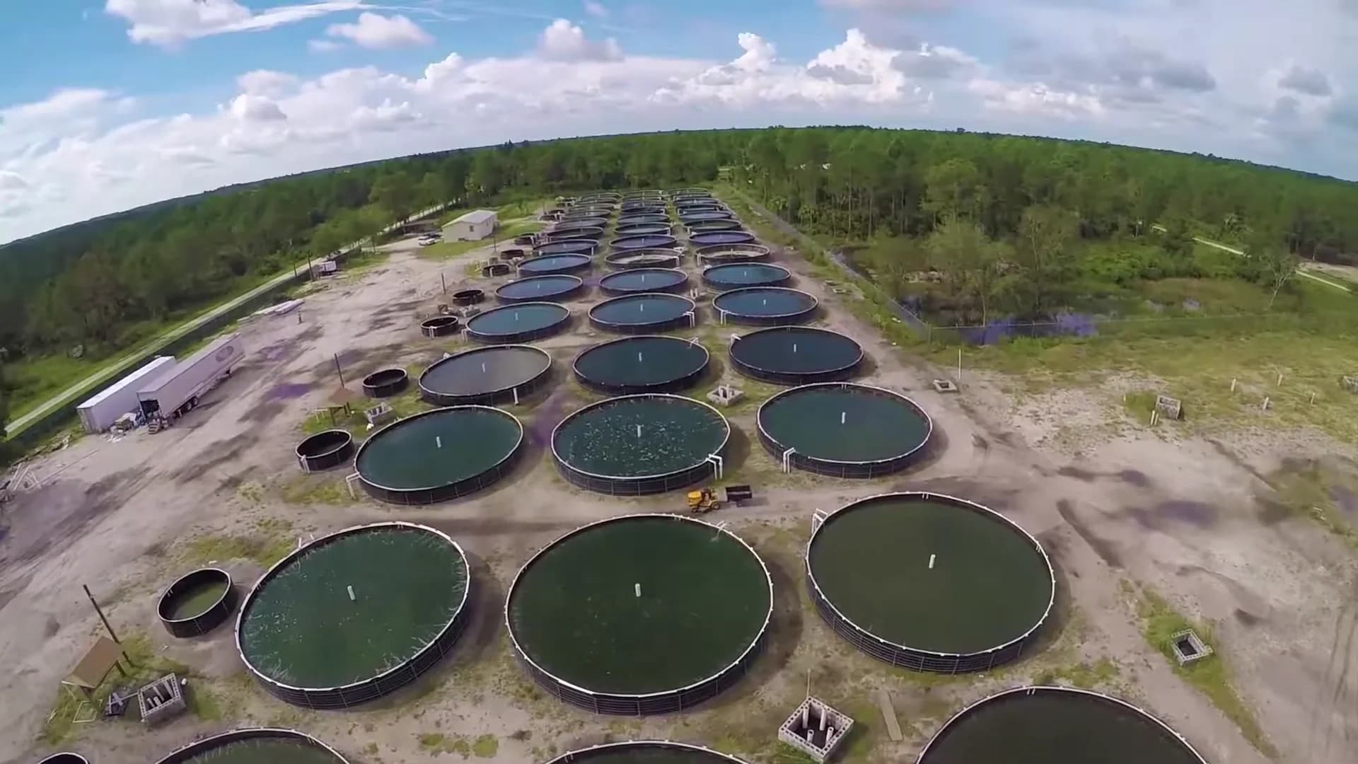 Aerial panoramic view of Tech Farm's tilapia facility with 30+ tanks across Southern Florida
