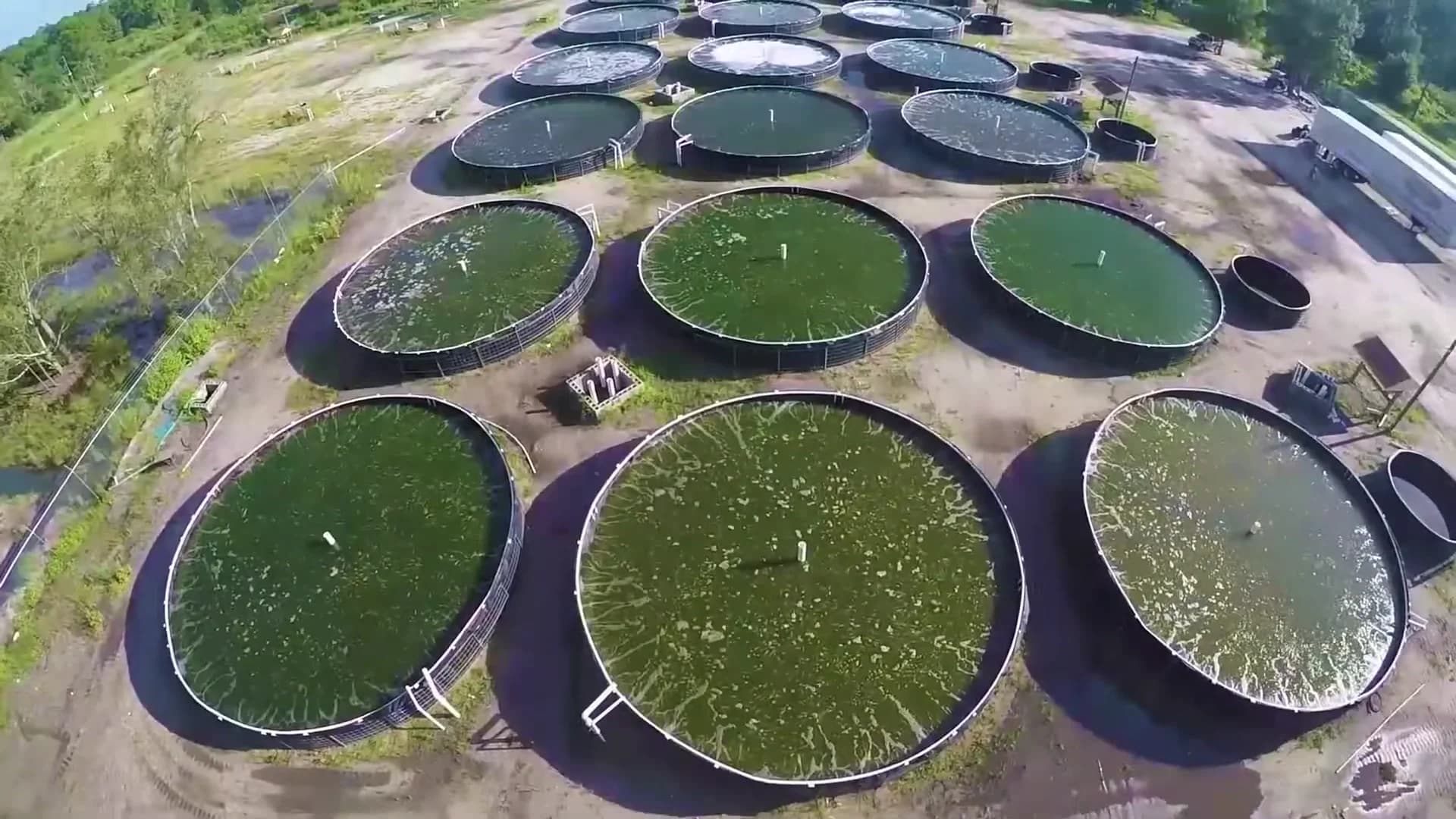 RAS system cross-section